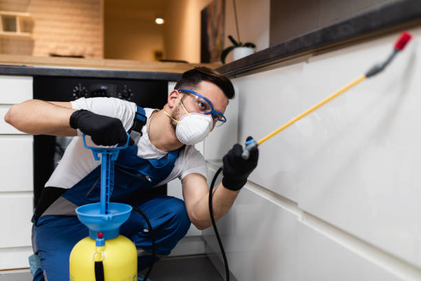 Best Mosquito Control Services  in Riverdale, GA