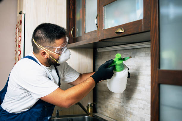 Best Affordable Pest Control Services  in Riverdale, GA