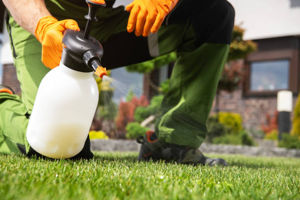 Best Affordable Pest Control Services  in Riverdale, GA