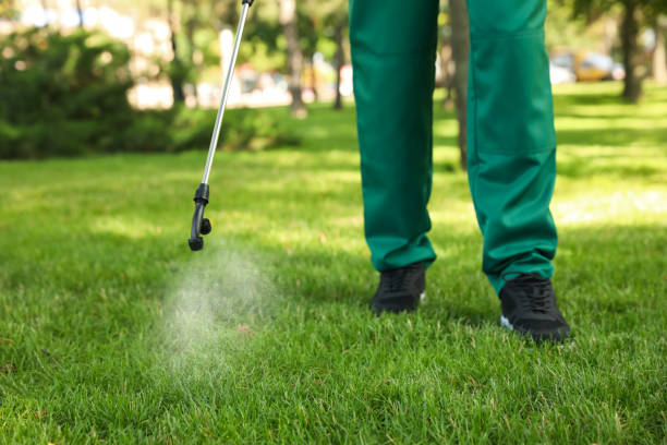 Best Local Pest Control Services  in Riverdale, GA