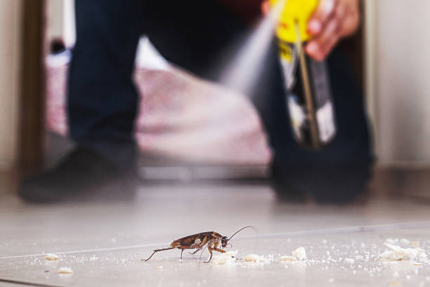 Best Residential Pest Control  in Riverdale, GA