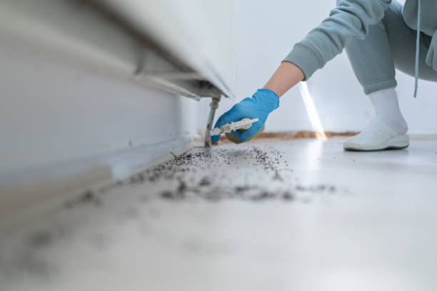 Best Emergency Pest Control  in Riverdale, GA