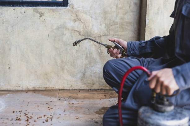 Best Commercial Pest Control Services  in Riverdale, GA